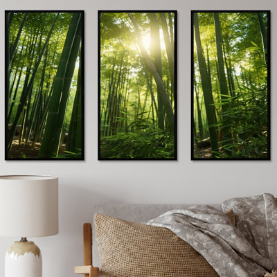 Dynamic Light Bamboo Grove II - Bamboo Wall Art Print Set