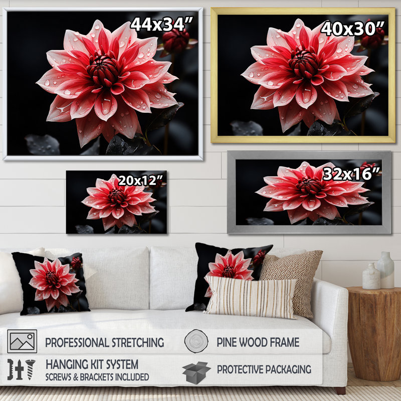 «Pink Dahlia Dazzling», reproduction d'art sur toile florale, Cadre simple noir, H 12 po x l 20 po x P 1 po