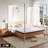 Mosquito Net Bracket-1707338509