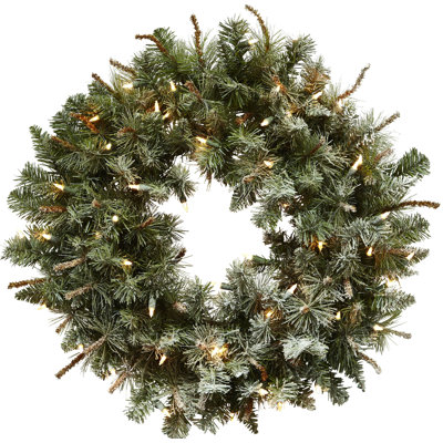 Couronne de plastique éclairée 30 po