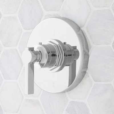 Greyfield Thermostatic Trim & .5" Valve