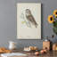 Petite chouette - impression sur toile tendue-1669904249