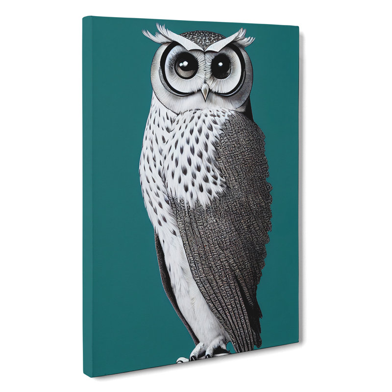 XC1022-1747X Curious Owl - Wrapped Canvas Print, 76cm H x 50cm W x 3cm D