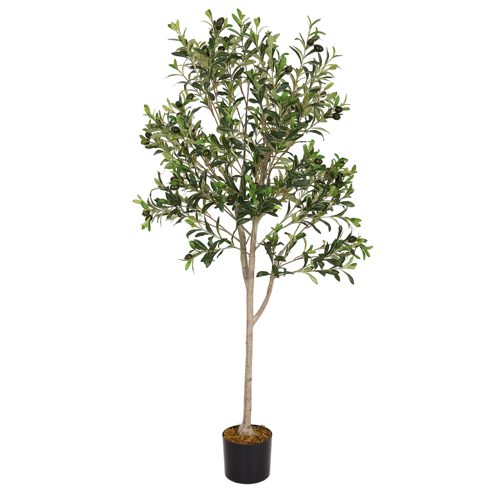 Aarav Artificial Olive Tree in Pot, 60" H x 25.5" W x 25.5" D