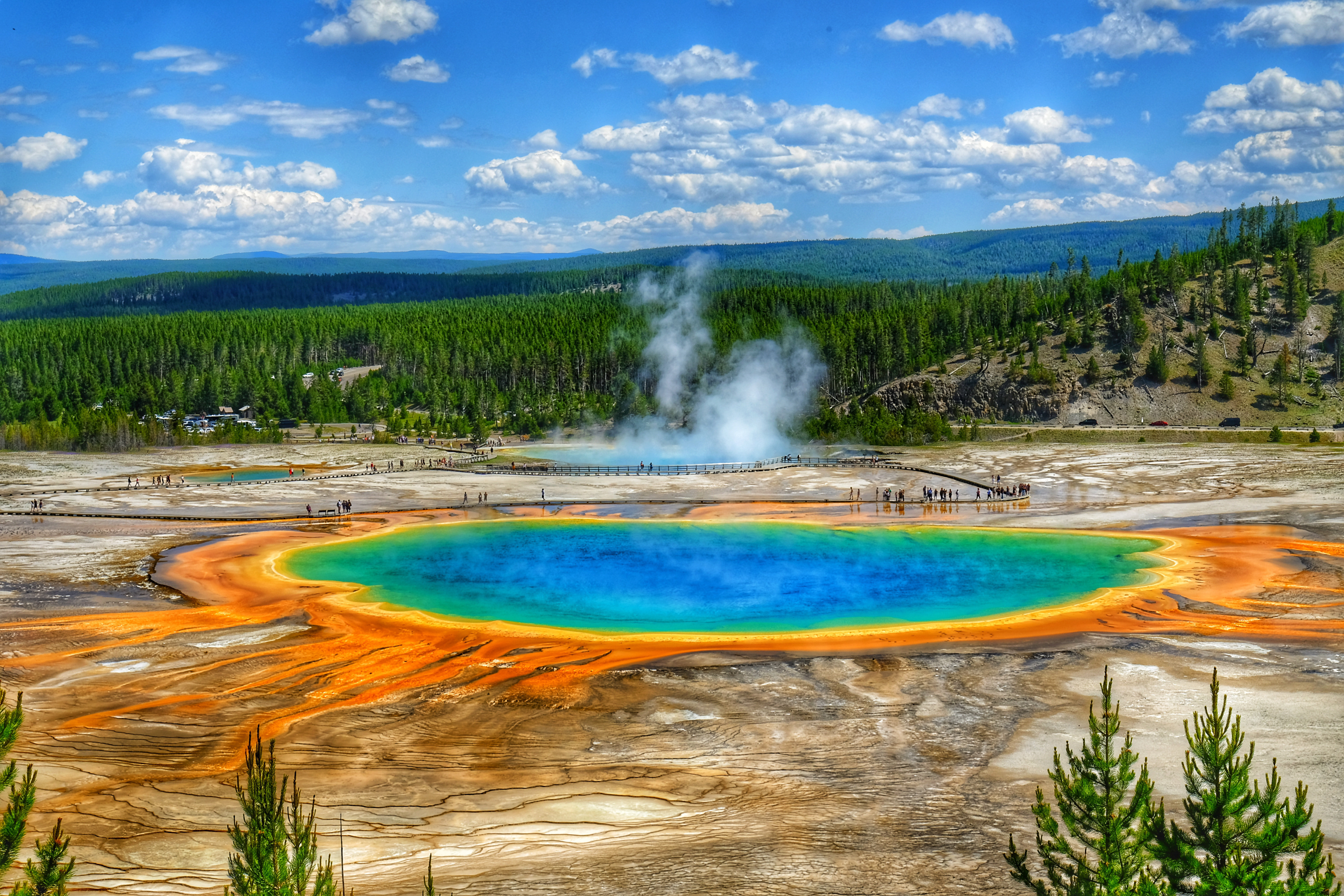 Philippi Spring House of Hampton Grand Prismatic Spring | Wayfair.co.uk