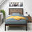 Samorah Metal Bed frame with Bamboo slatter Headboard-1289571802