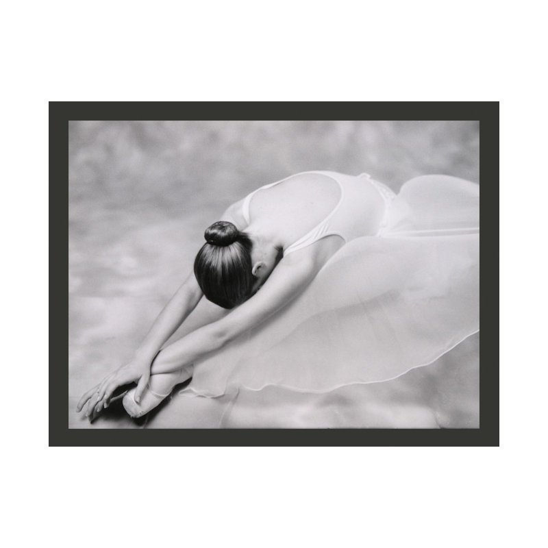 Ballet Dancer 270cm x 350cm Wallpaper, 231cm L x 300cm W