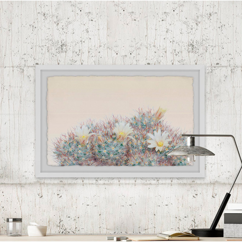 Flowering Succulent - Single Picture Frame Print, 41cm H x 61cm W x 4cm D