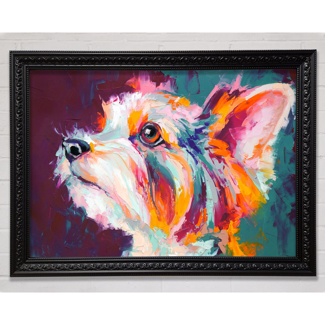 Gerahmtes Wandbild Vibrant Yorkshire Terrier