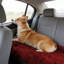 Fourrure pour animaux de compagnie Furry Four Season Warm Large, 30,71 po x 21,26 po, vin-131216140