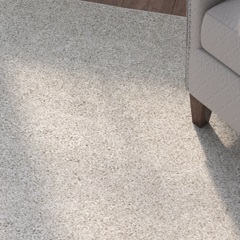 Tapis de couleur unie à poils longs Bertjan Performance, Rectangle 8 pi x 10 pi
