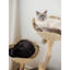 Arbre à chat 46 po Seeman-128183715