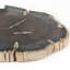 Petrified Stoneware Decorative Plate