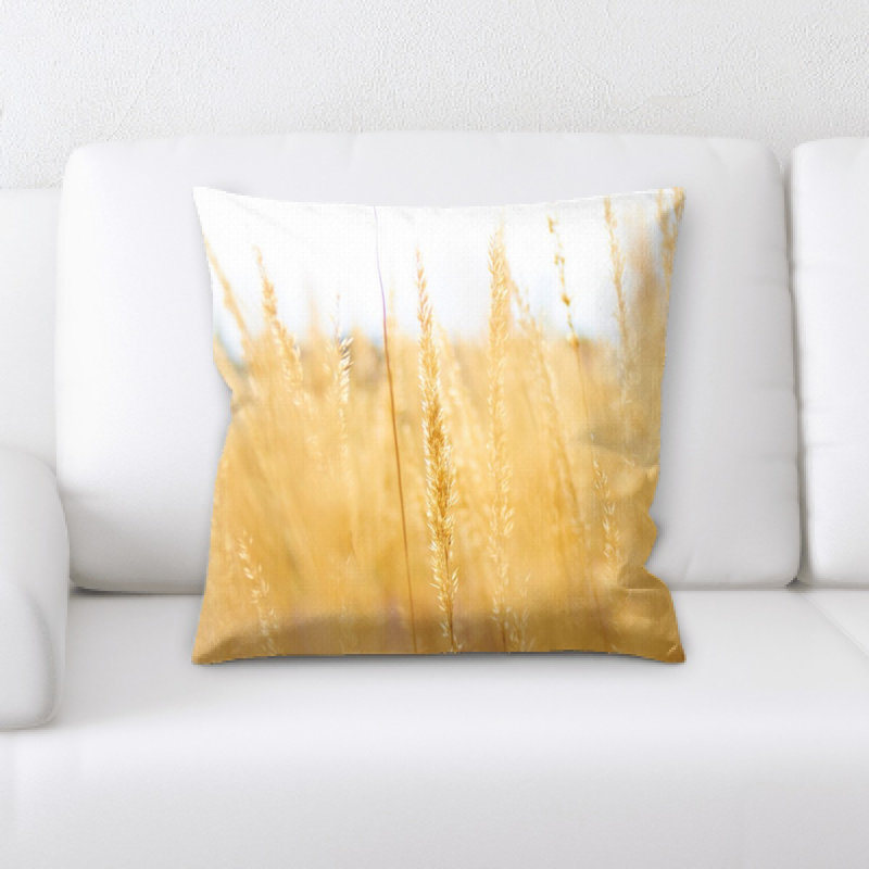 Coussin décoratif flou
