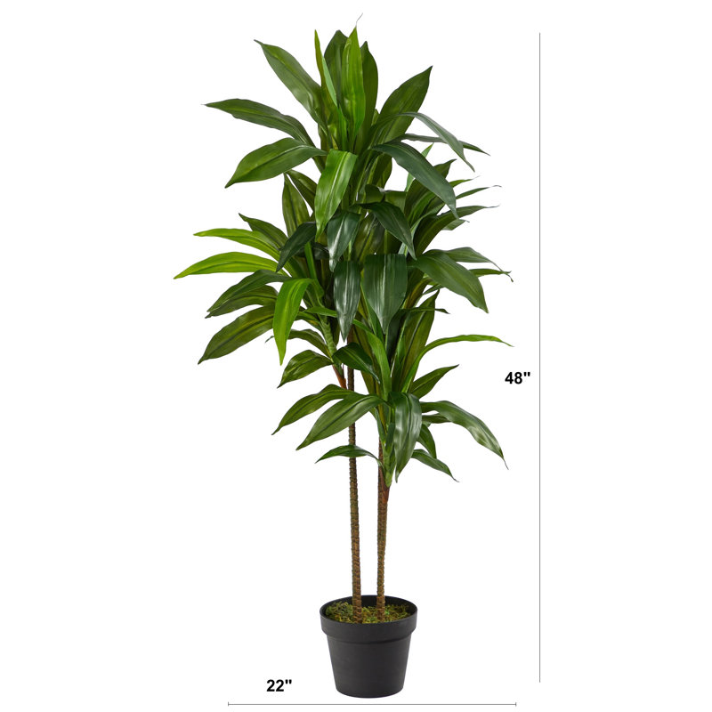 Larson 48'' Faux Dracaena Plant in Planter