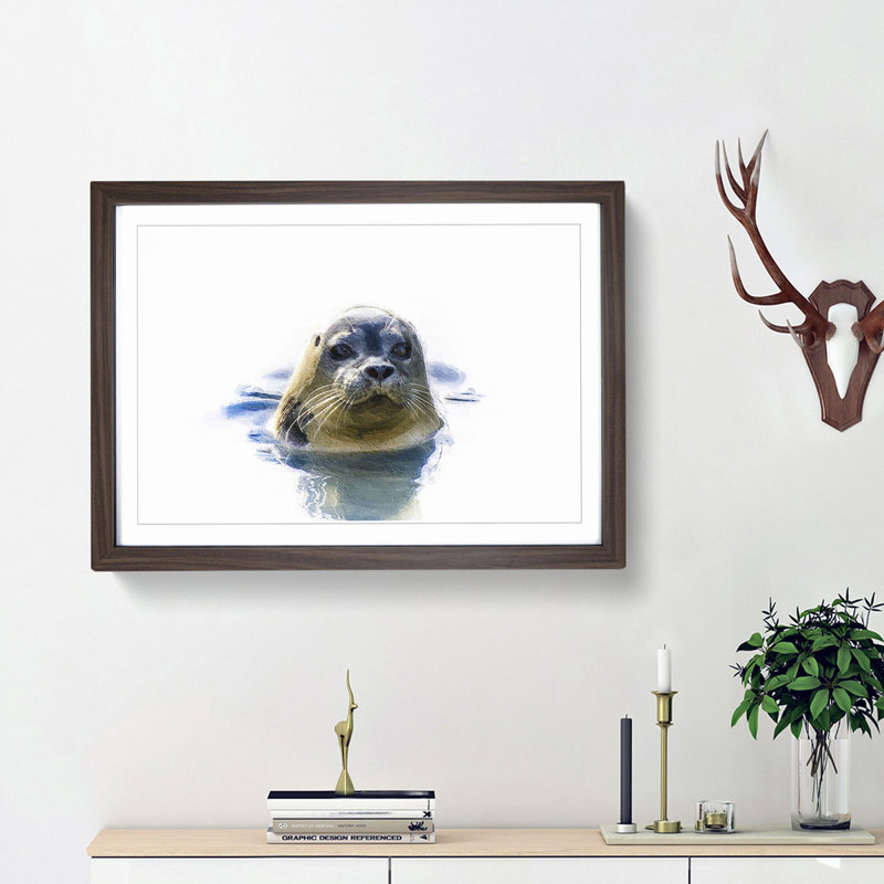 Grey Seal - Framed Print, 27cm H x 36cm W x 2cm D, Walnut Framed