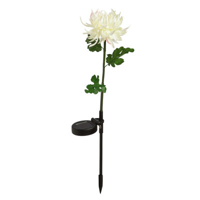 Piquet de jardin Lavatrice