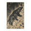 Tapis oriental doux et moelleux à motif oriental noir et beige-2124313966