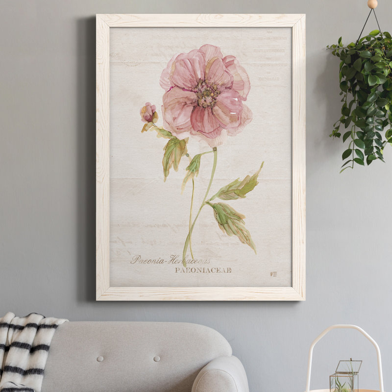 Soft Peony - peinture sur toile encadrée, Blanc, H 20 po x l 17 po x P 1,5 po