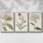 Ensemble de 3 papillons bleus antiques I encadrés sur toile-97760099-97760105