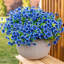 Ensemble de 10 plantes artificielles bleues eucalyptus violet artificiel 13,8 po de long à vapeur UV
