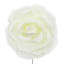 Grande tige rose en mousse-132110118-132110114