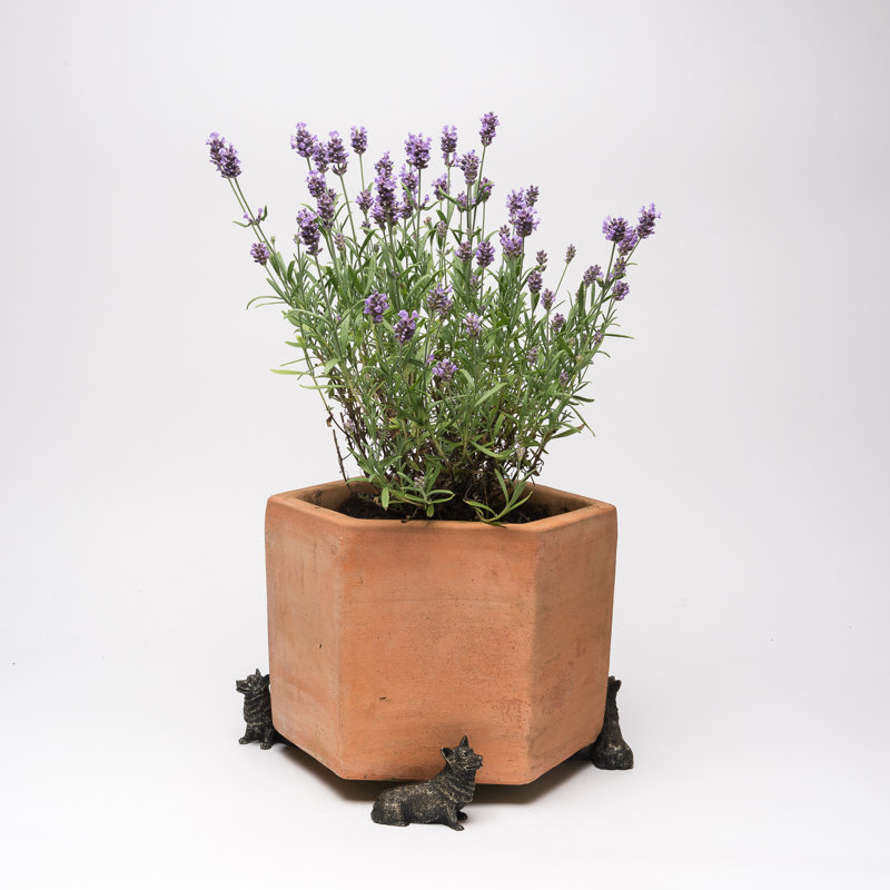Apollonia Weather Resistant Planter Feet