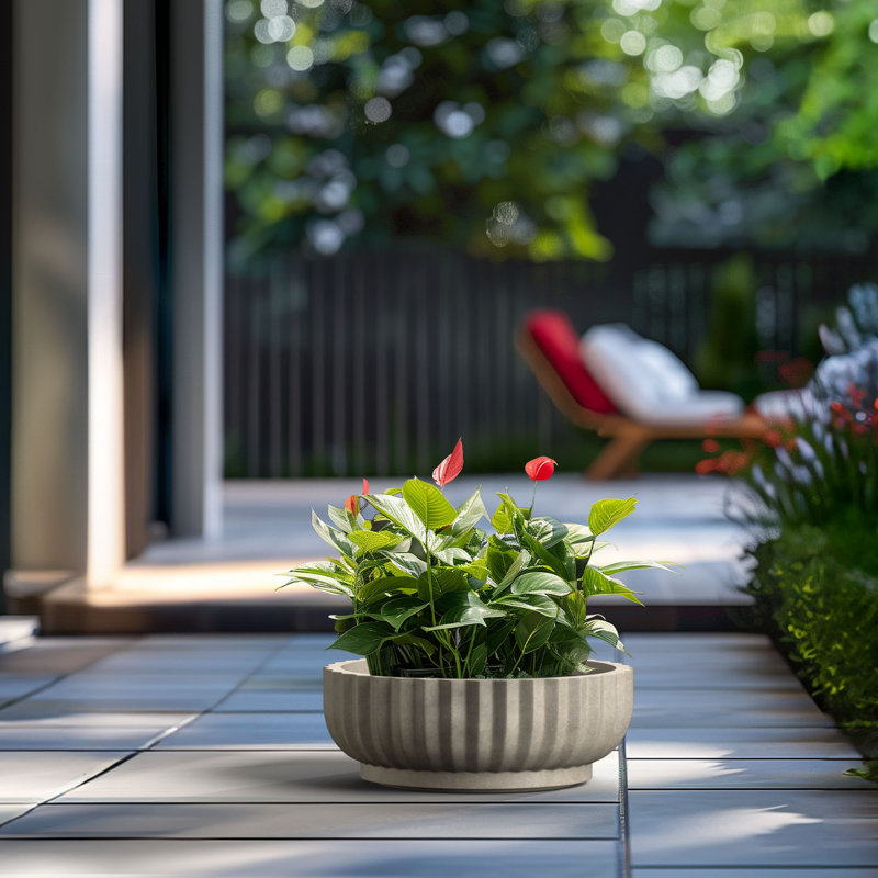 Grand pot / pot rond en béton avec trous de drainage, H 5,51 po x l 14,57 po x P 14,57 po, Gris clair