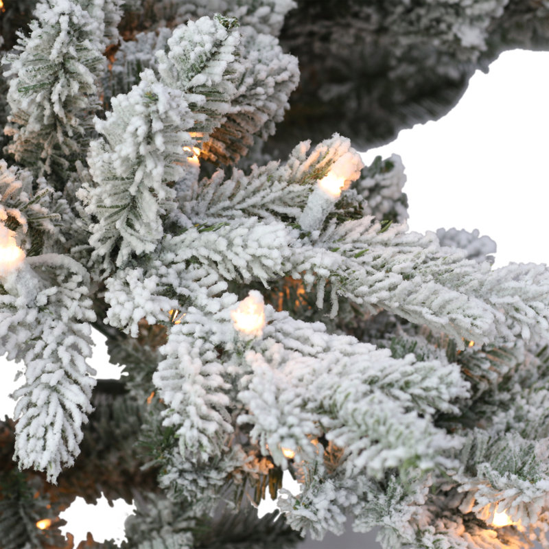 7.5' Lighted Fir Christmas Tree