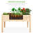 Raised Garden Bed-355400160-355400162