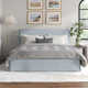 Zatanna Upholstered Low Profile Platform Bed