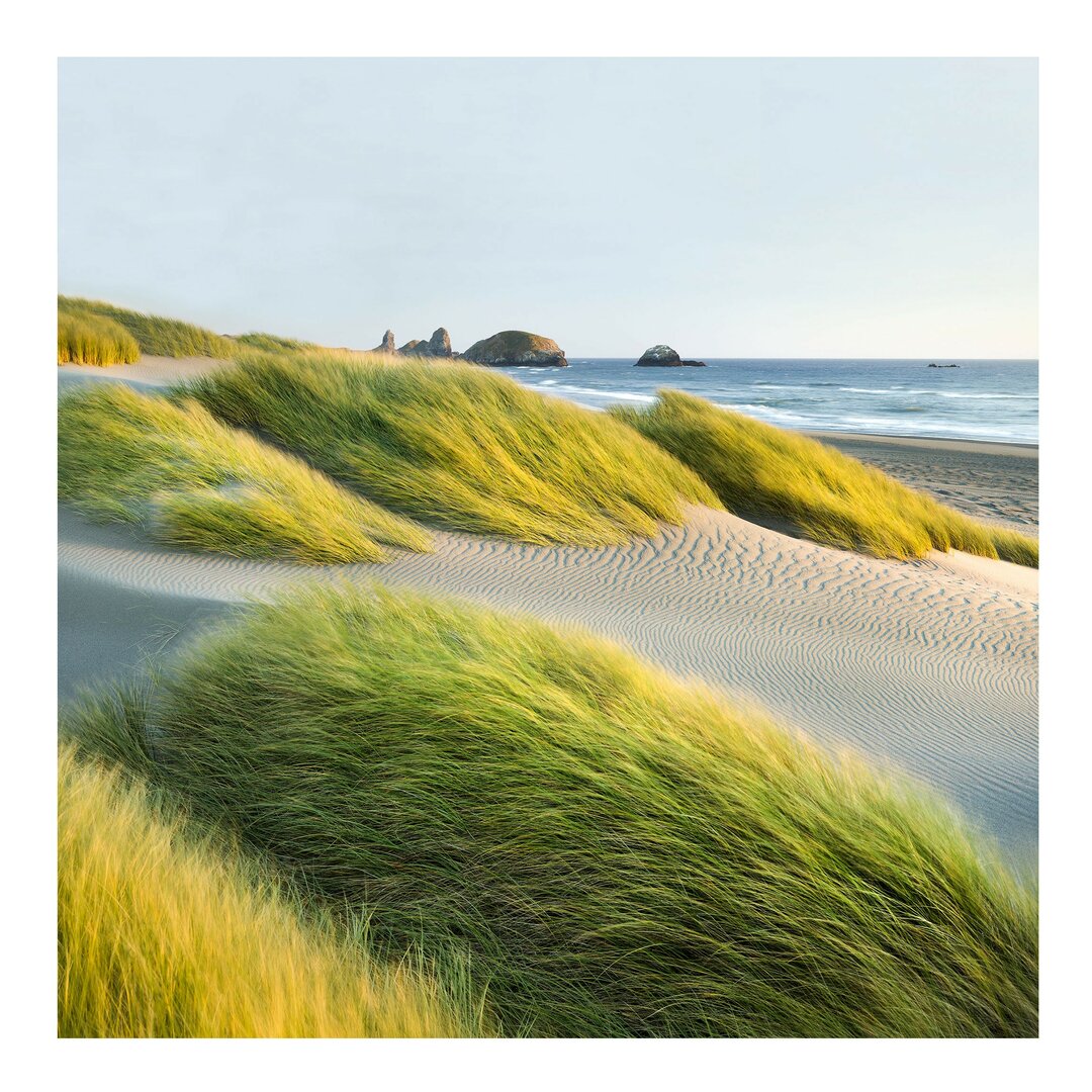 Strukturierte Fototapete Dunes and Grass at the Ocean