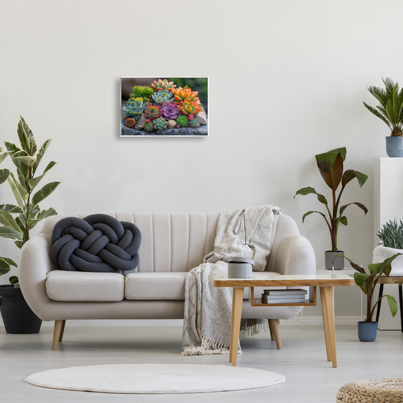 «Varied Succulents», art mural sur bois par Imagine It Images, H 13 po x l 19 po