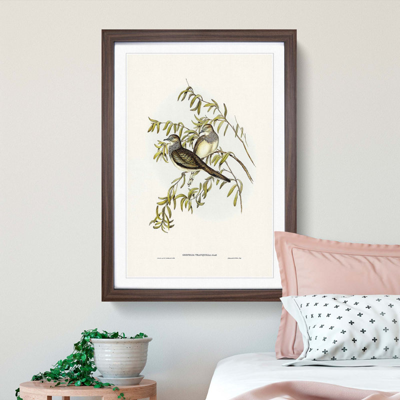 Peaceful Ground Doves by Elizabeth Gould - Framed Print, Walnut Framed, 48cm H x 36cm W x 2cm D