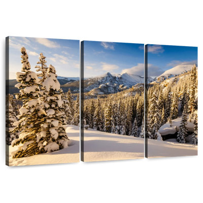 Alvord Snowy Pine Trees