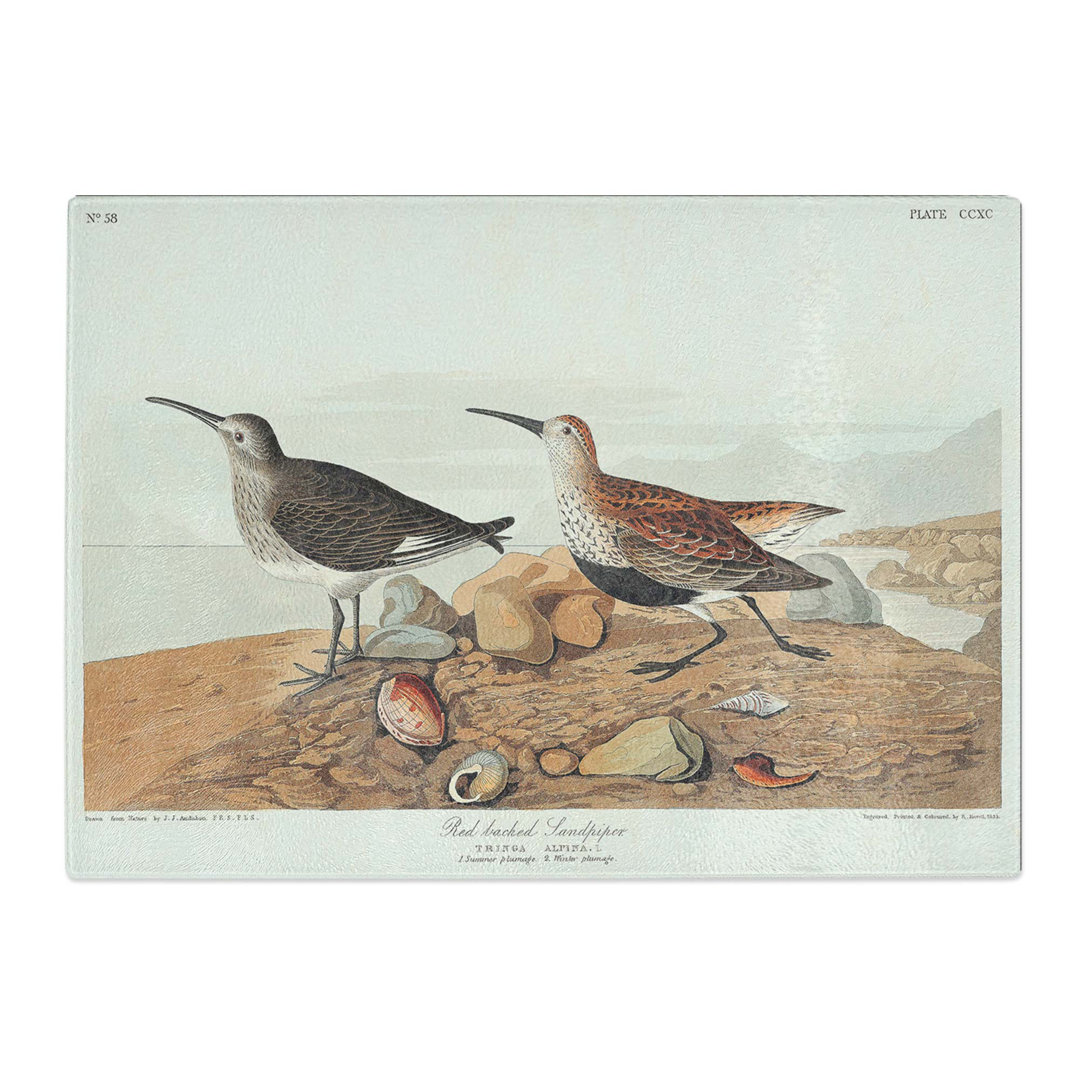 Tempered Glass Red-Backed Sandpiper by John James Audubon Chopping Board