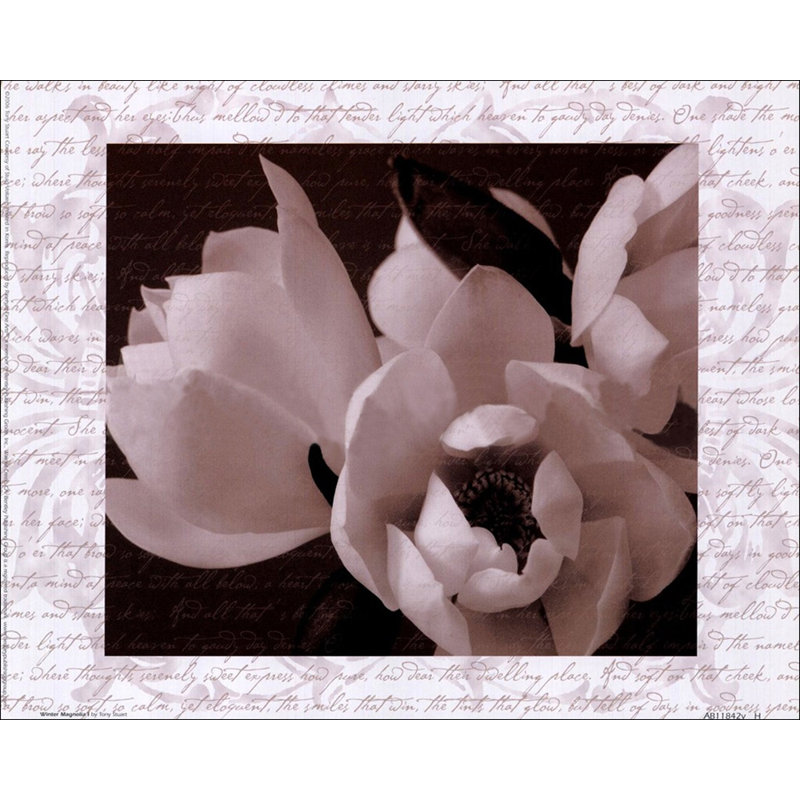 Magnolia d'hiver I, H 19 po x l 24 po