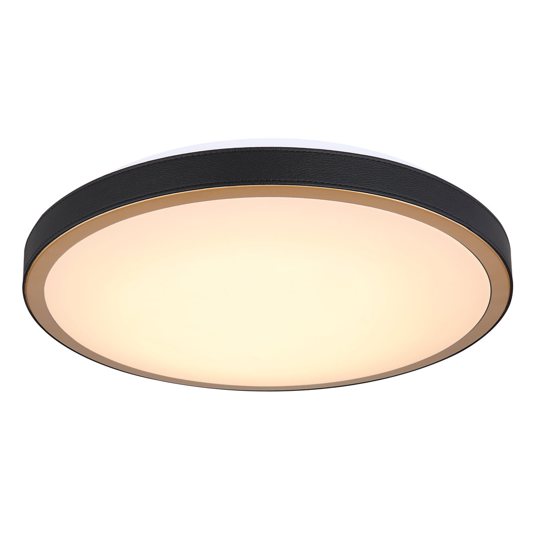 Ceiling light