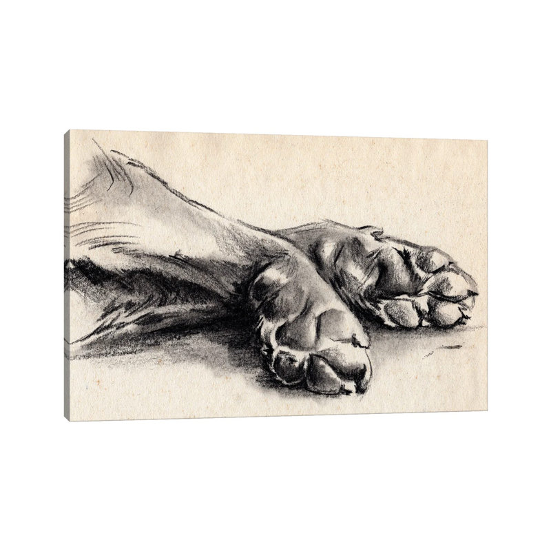 Charcoal Paws II - impression sur toile tendue, H 18 po x l 26 po x P 1,5 po