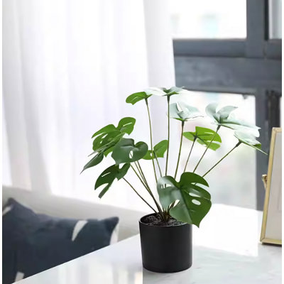 Ornements de petites plantes en pot