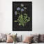 « botanique chart vii », impression sur toile tendue-20146285-72576969-72576970