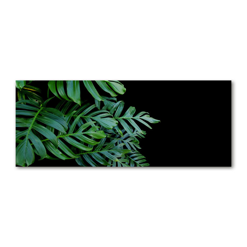 Monstera - No Frame Print on Canvas