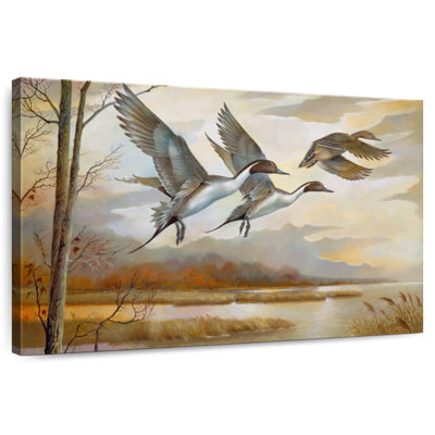 Pintails