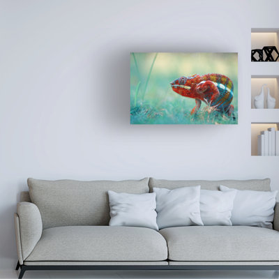 Bolog Andri Priyadi Chameleon Phanter Canvas Art