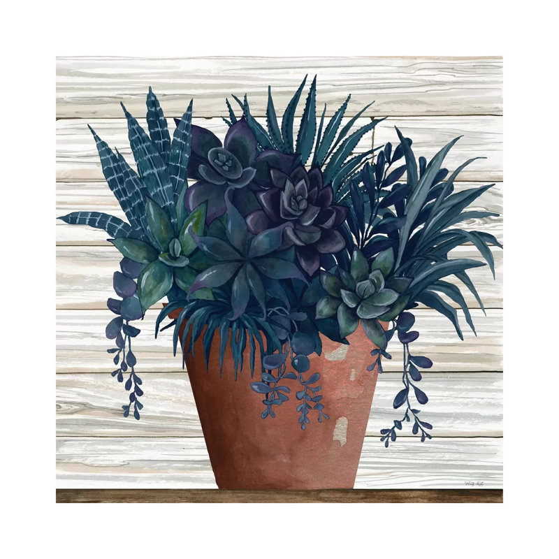 Remarkable Succulents II by Cindy Jacobs - Wrapped Canvas Print, 93.98 cm H x 93.98 cm W x 1.91 cm D