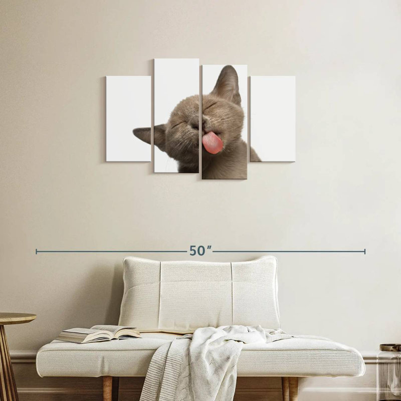 La langue de chat Brampt, H 22 po x l 36 po