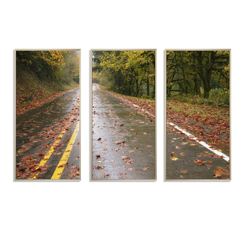 Wet Rainy Road In Forest - Photographie de 3 pièces sur toile, H 28 po x l 36 po x P 1 po, Brun