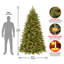 The Holiday Aisle® Princeton Fraser Fir with PowerConnect and Dual Color LED Lights-599926729