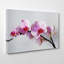 Flower Pink Orchid - Wrapped Canvas-19096185