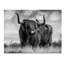 « a bull », reproduction d’impression sur toile tendue-31980534